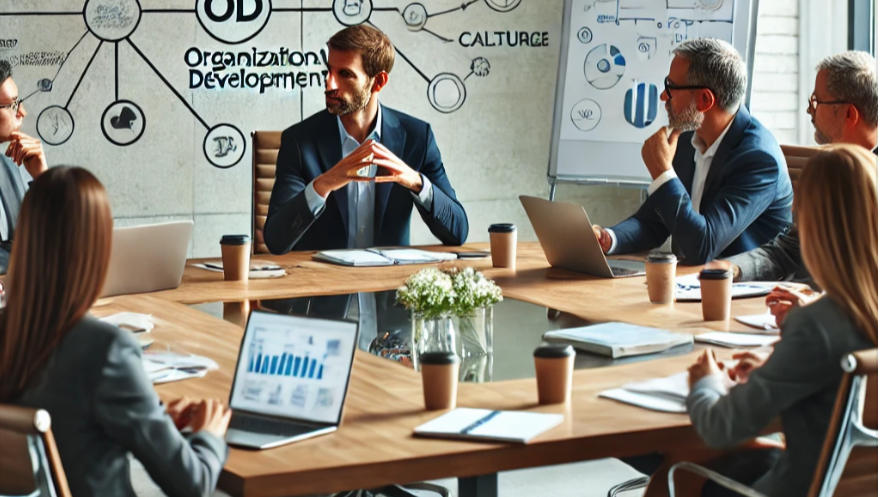 Organisational Development Consultant